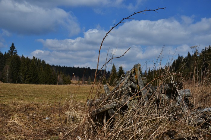 Ovesná u Nové Pece 16. března