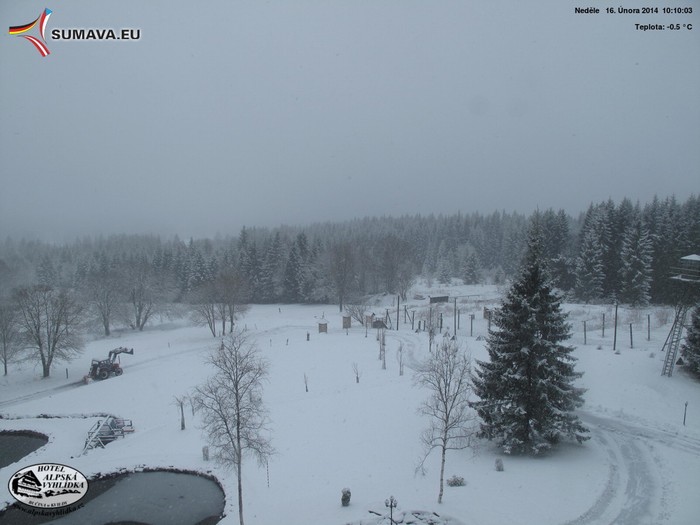 Bučina 16.2.